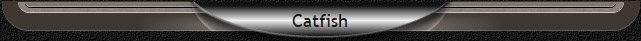 Catfish