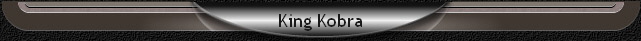 King Kobra